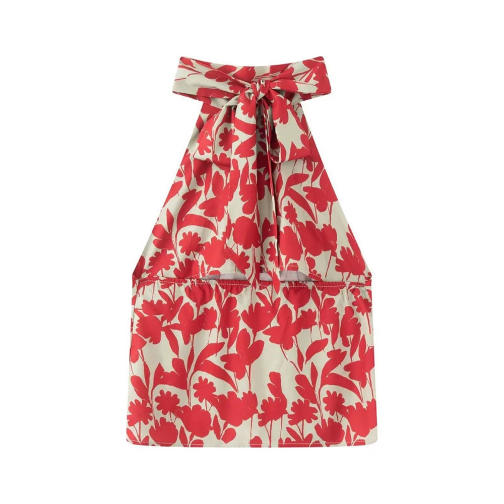 ZARA Fashion Print Top and Tiered Skirt Two Piece Set